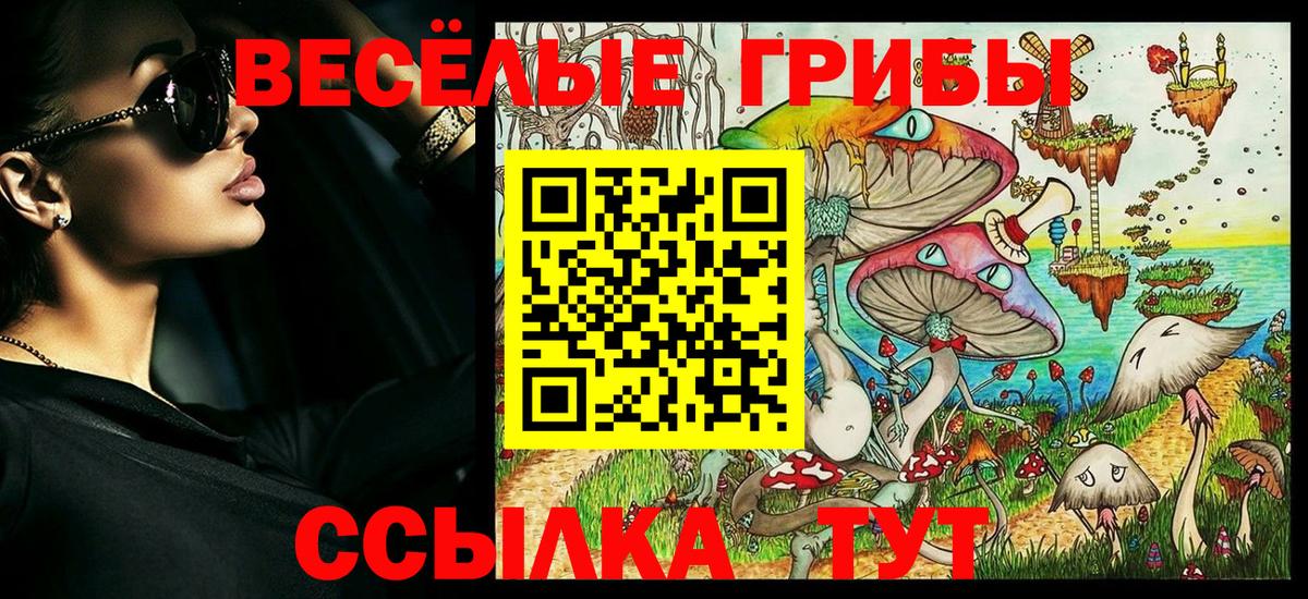 Карталы  Псилоцибиновые грибы мицелий  Вход с VPN  Галлюциногенные грибы Cubensis 